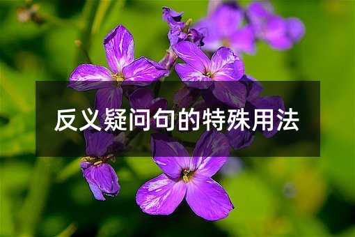 反义疑问句的特殊用法