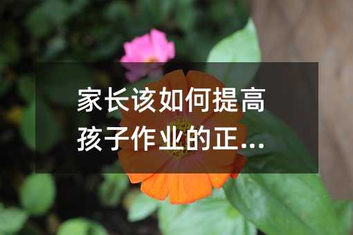 家长该如何提高孩子作业的正确率