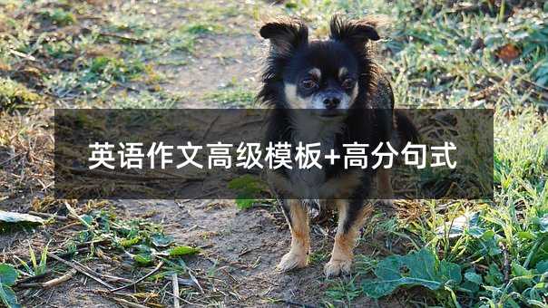 Ӣ�����ĸ߼�ģ��+�߷־�ʽ