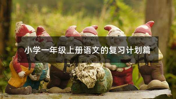 小学一年级上册语文的复习计划篇