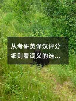 从考研英译汉评分细则看词义的选择和引申