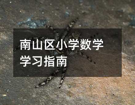 南山区小学数学学习指南