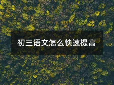初三语文怎么快速提高