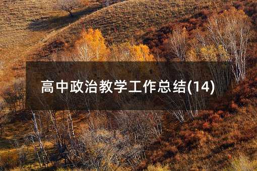 高中政治教学工作总结(14)
