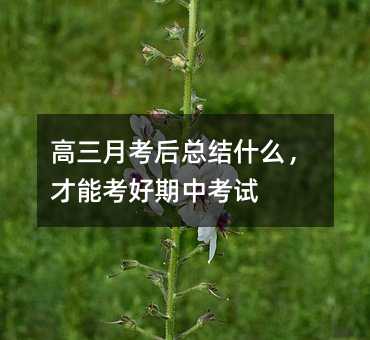 高三月考后总结什么,才能考好期中考试