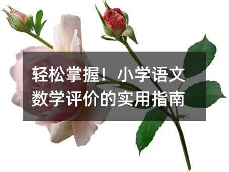 轻松掌握!小学语文数学评价的实用指南