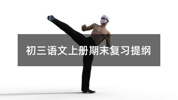 初三语文上册期末复习提纲