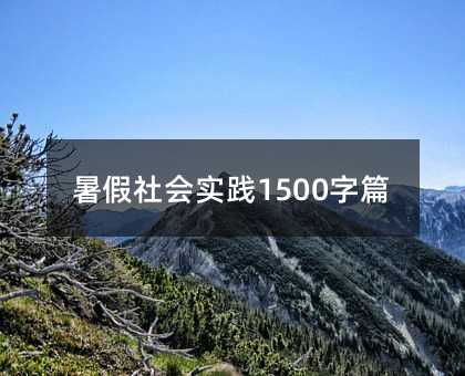 暑假社会实践1500字篇