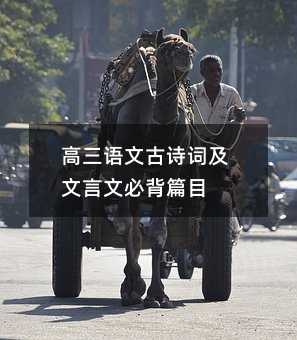 高三语文古诗词及文言文必背篇目