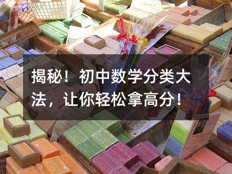 揭秘!初中数学分类大法,让你轻松拿高分!