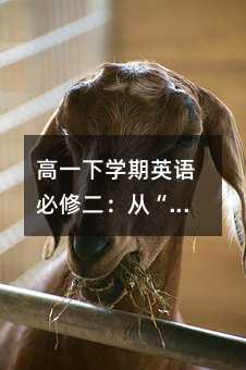 高一下学期英语必修二:从“Honest“到“Golden“,体育词汇的奇妙世界