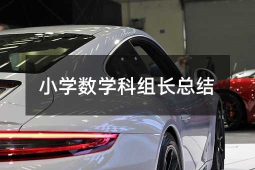 小学数学科组长总结