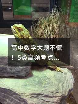 高中数学大题不慌!5类高频考点详解,附解题秘籍