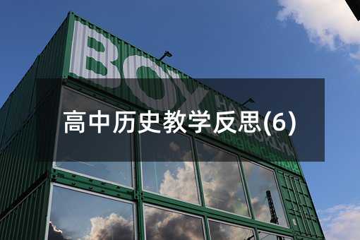 高中历史教学反思(6)