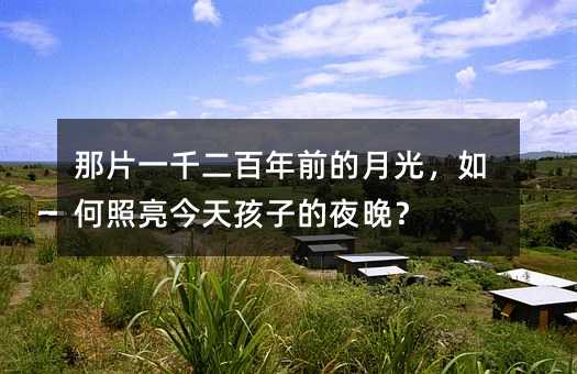 那片一千二百年前的月光,如何照亮今天孩子的夜晚?