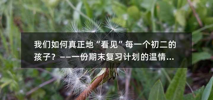 ������������ء�������ÿһ�������ĺ��ӣ�����һ����ĩ��ϰ�ƻ�������ע��