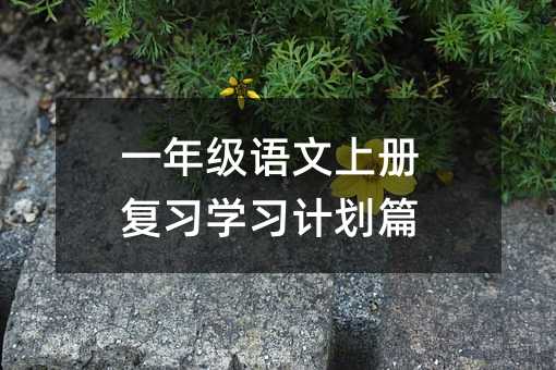 һ�꼶�����ϲḴϰѧϰ�ƻ�ƪ