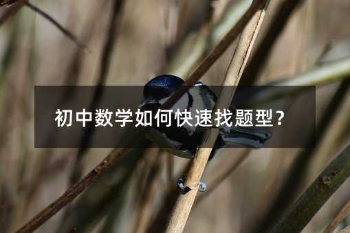 ������ѧ��ο��������ͣ�