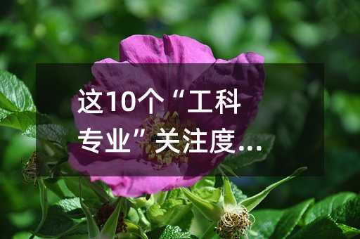 ��10��������רҵ����ע�Ⱥܸߣ�