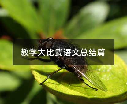 教学大比武语文总结篇