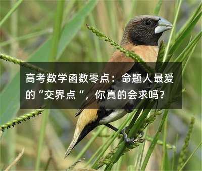 高考数学函数零点:命题人最爱的“交界点“,你真的会求吗?