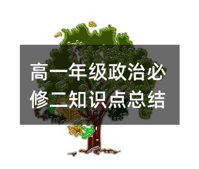 高一年级政治必修二知识点总结