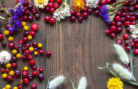 ���·�ϵ�ָ·���ƣ����걱ʦ����ڽ��������������������׸�Чѧϰ�ջ�