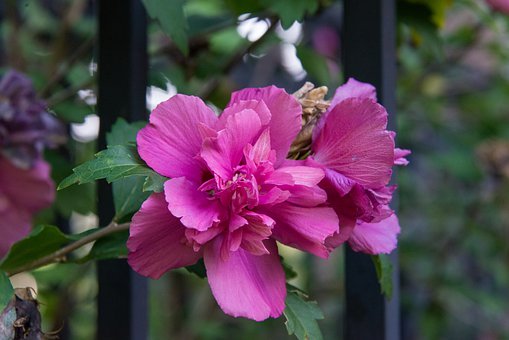 艺考开考!考官解密:艺考怎么考