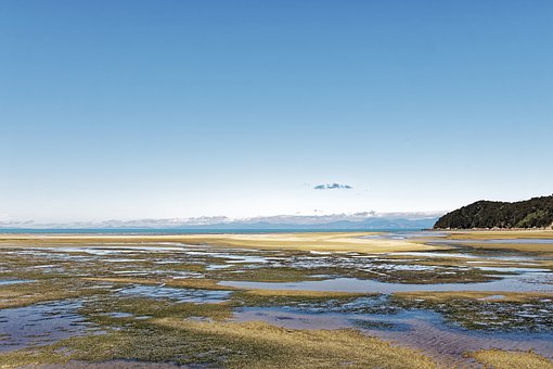 �������������Сѧ������ʱ���١�̸��ɫ��