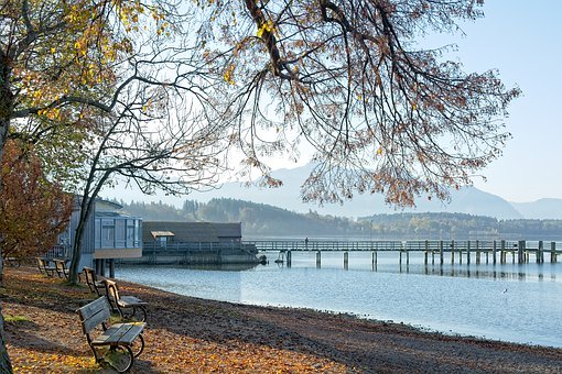 高中生物课教学反思(1)