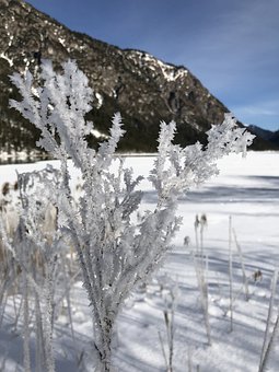 ����ѧ���ƶȣ��ú�����ѧ·��˳��