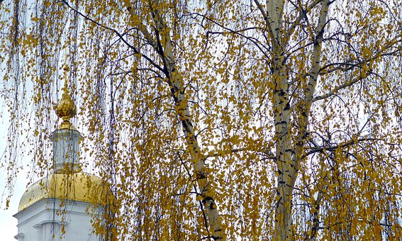 ���ھ�ʳǰд�µ�һ���֣����˴����������ļ���