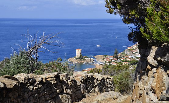 һ�꼶�ϲ���������֪ʶ���ܽ�