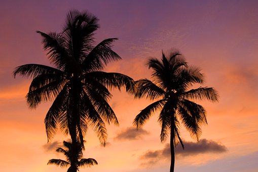 ��λ�������ǰѹ�����⼸�о����Ƕ����裡